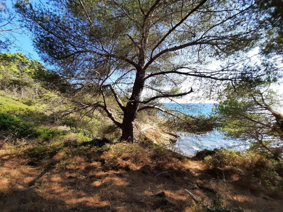 Vila Azuromarin Gassin